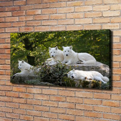 Tableau photo sur toile Rocher du loup blanc