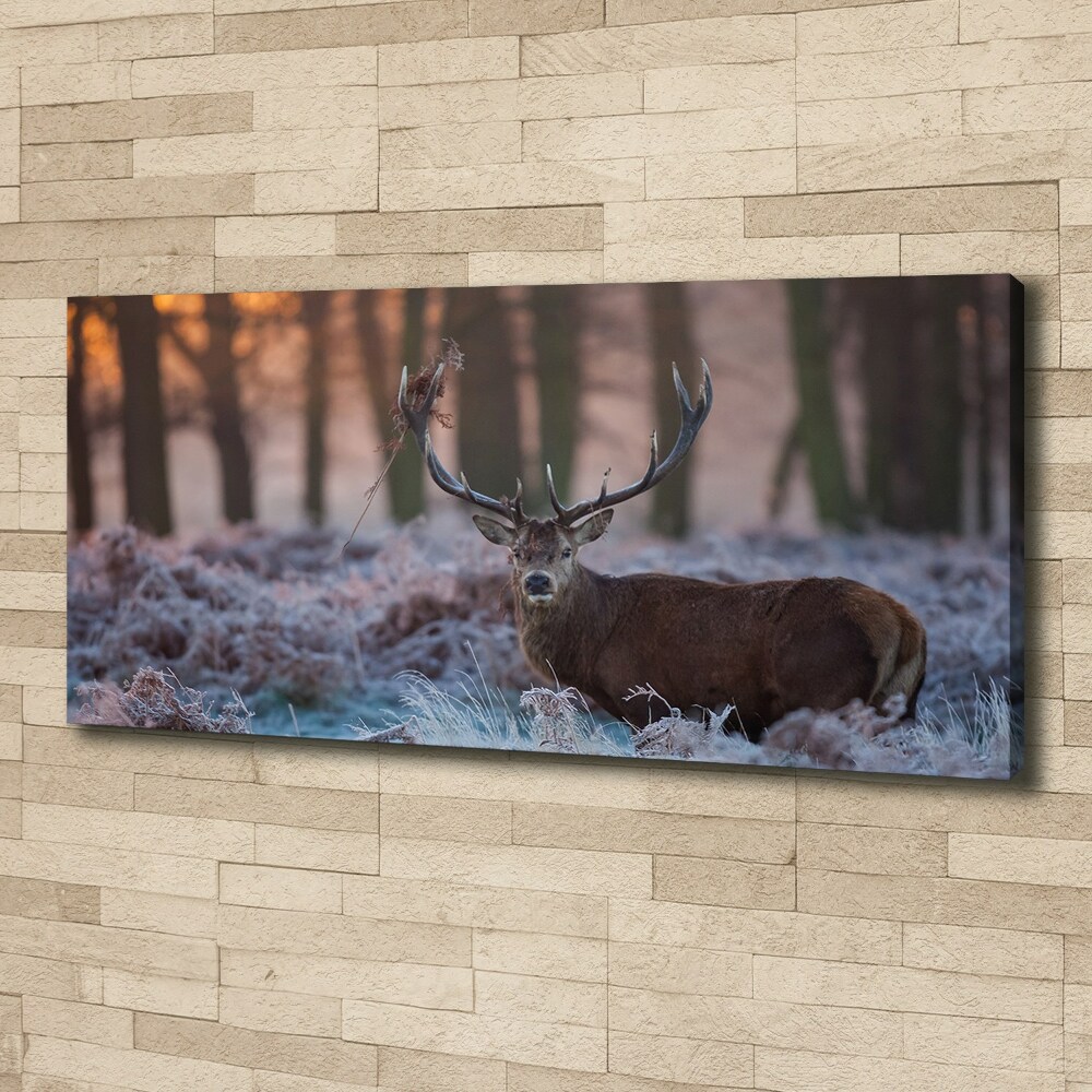 Tableau imprimé sur toile Cerf à l'aube