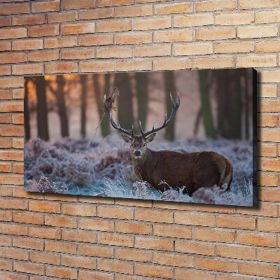 Tableau imprimé sur toile Cerf à l'aube