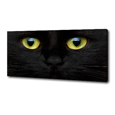 Tableau photo sur toile Yeux de chat