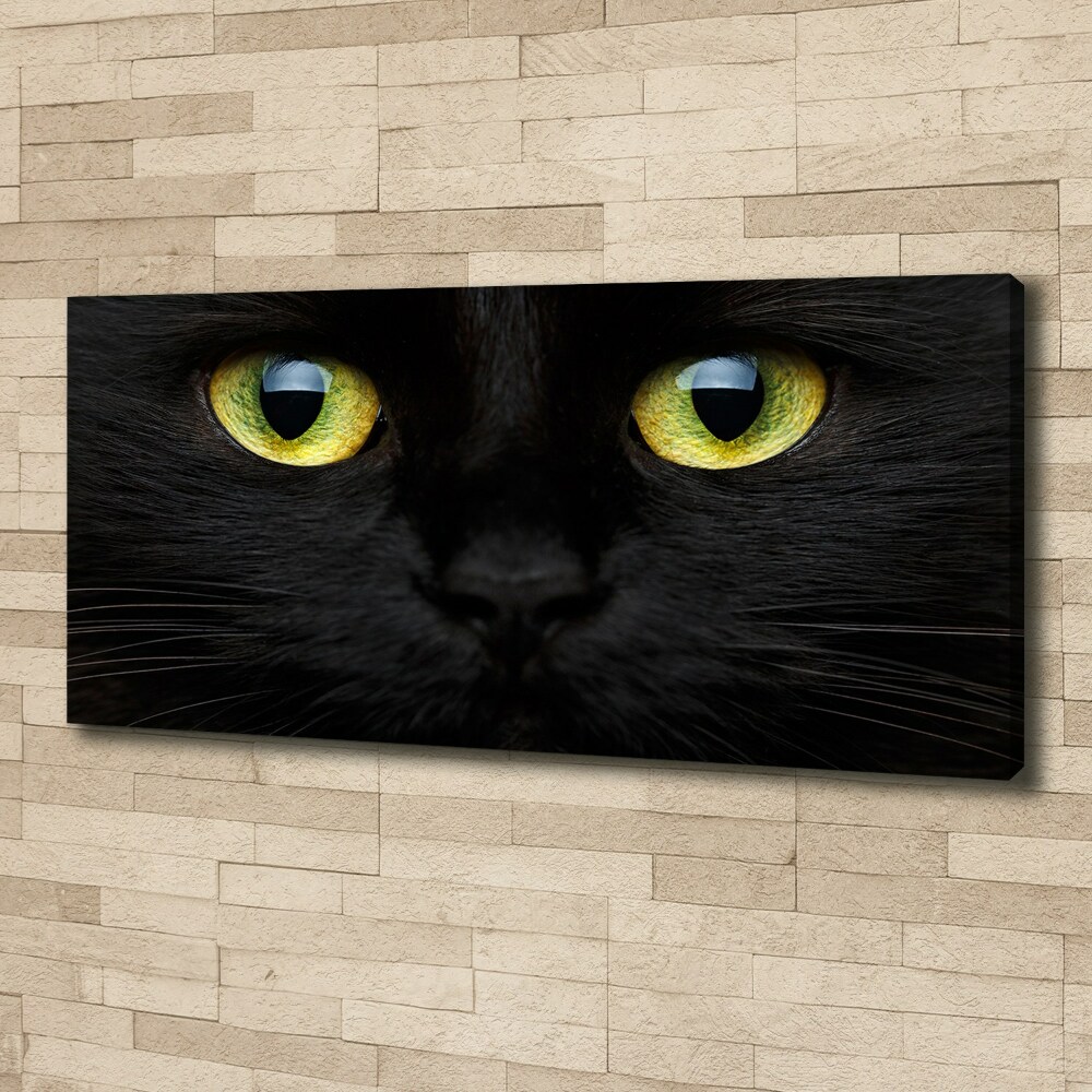 Tableau photo sur toile Yeux de chat