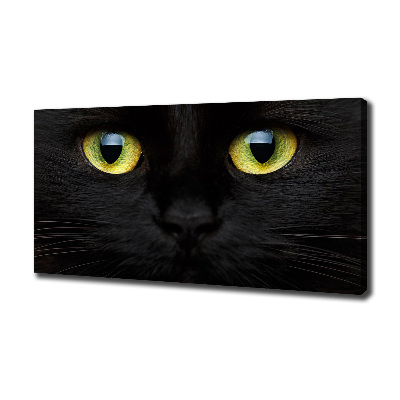 Tableau photo sur toile Yeux de chat