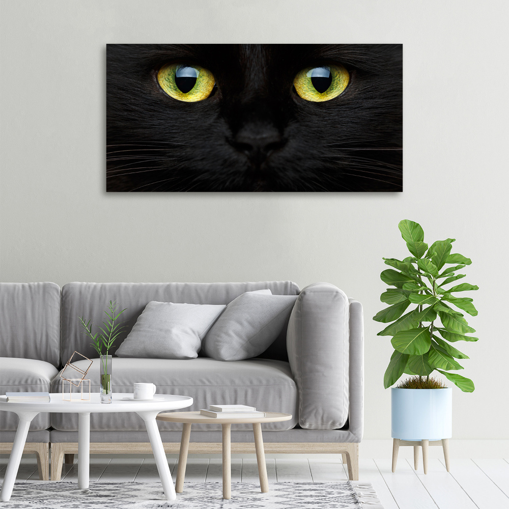 Tableau photo sur toile Yeux de chat