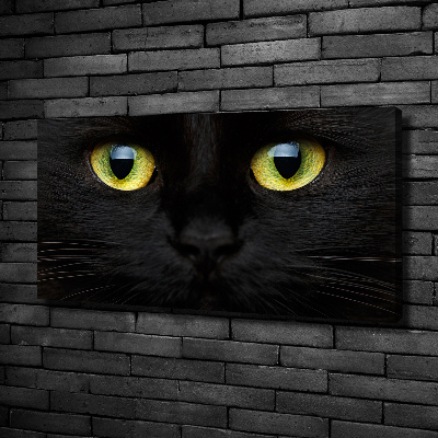 Tableau photo sur toile Yeux de chat