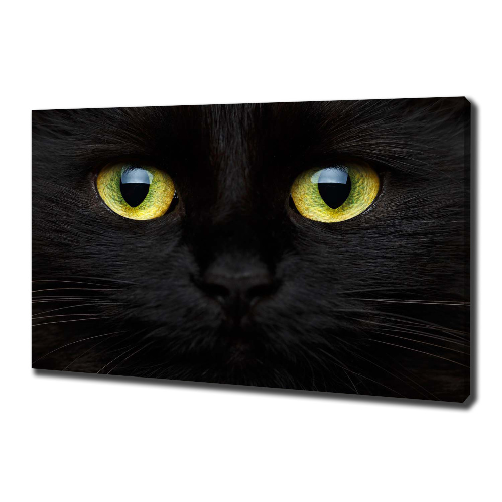 Tableau photo sur toile Yeux de chat