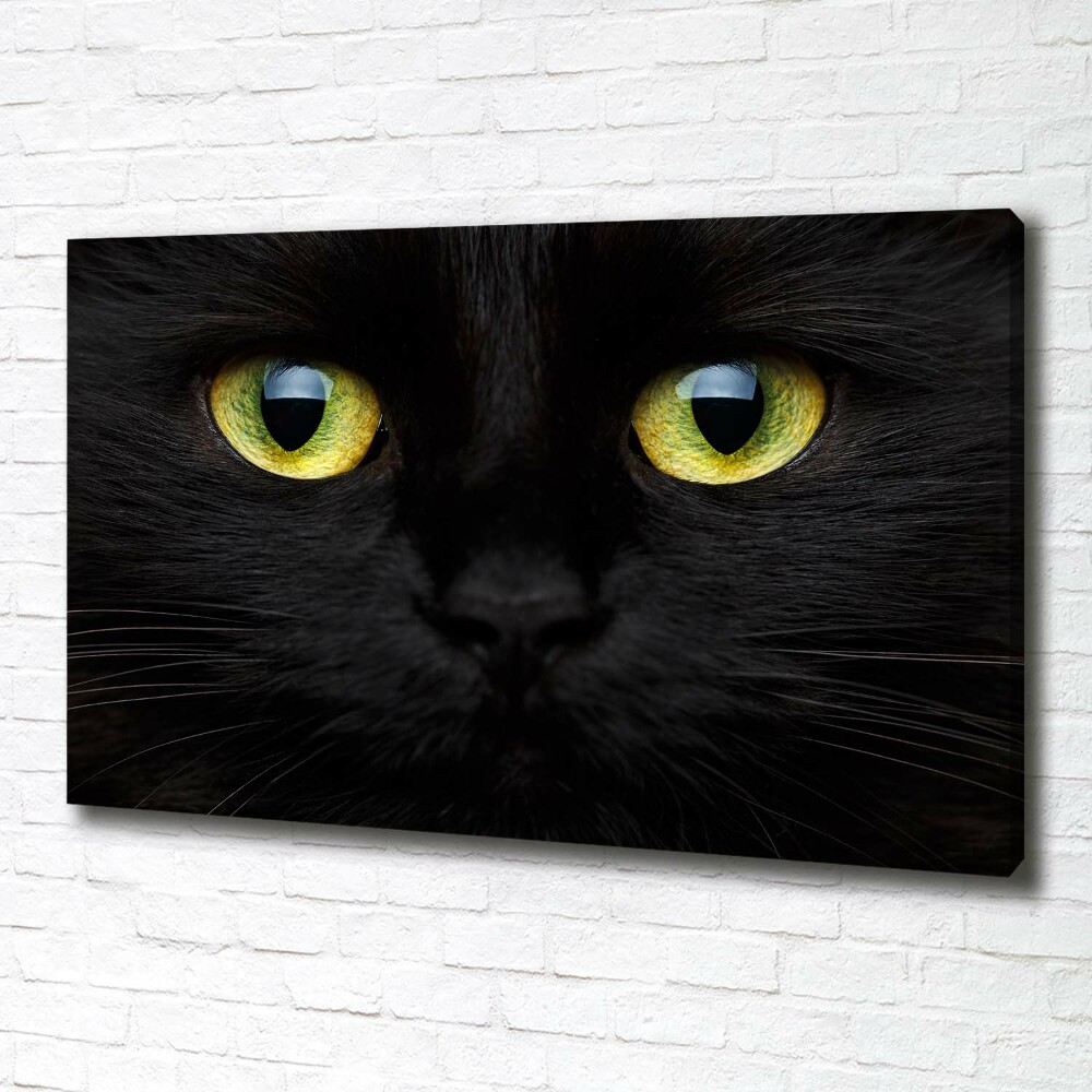 Tableau photo sur toile Yeux de chat