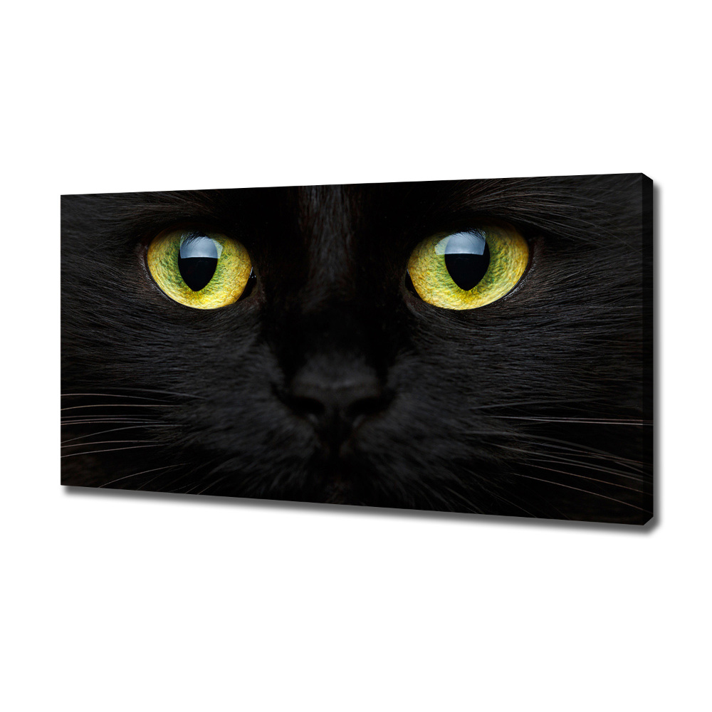 Tableau photo sur toile Yeux de chat