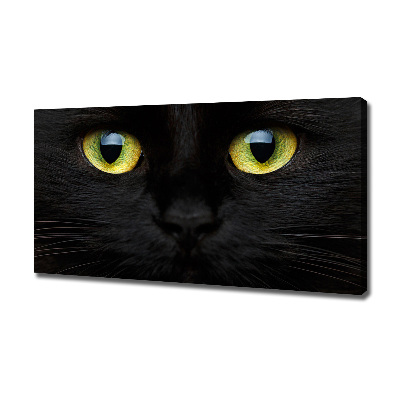 Tableau photo sur toile Yeux de chat