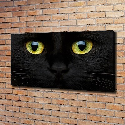 Tableau photo sur toile Yeux de chat