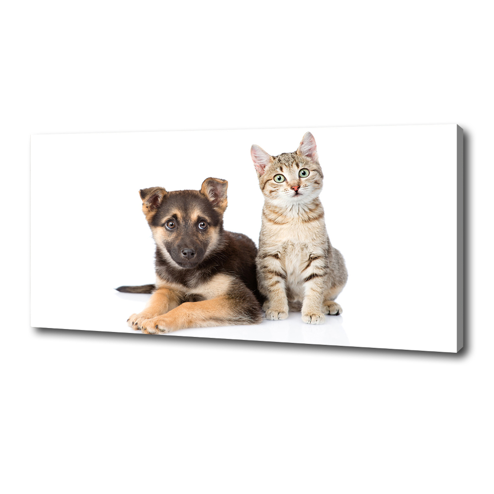 Tableau sur toile Chien et chat