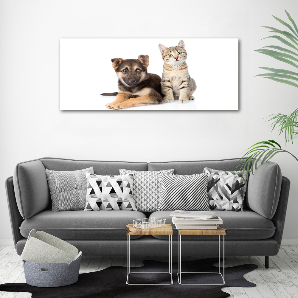 Tableau sur toile Chien et chat