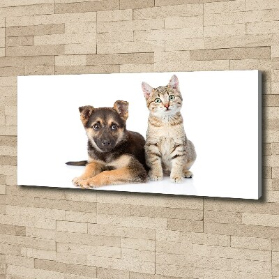 Tableau sur toile Chien et chat