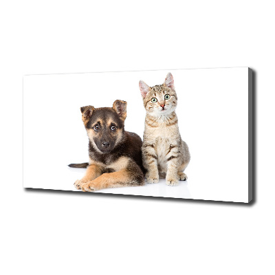 Tableau sur toile Chien et chat