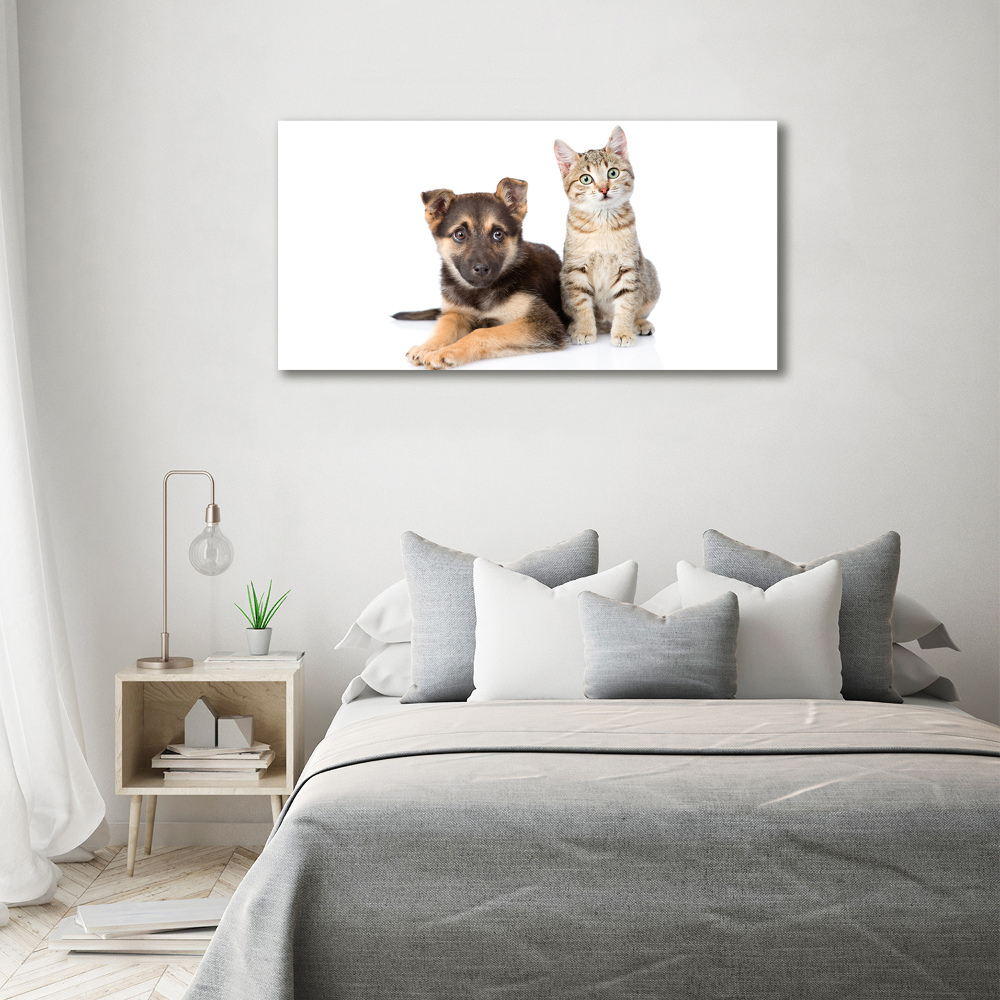 Tableau sur toile Chien et chat