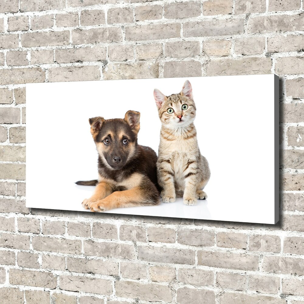 Tableau sur toile Chien et chat