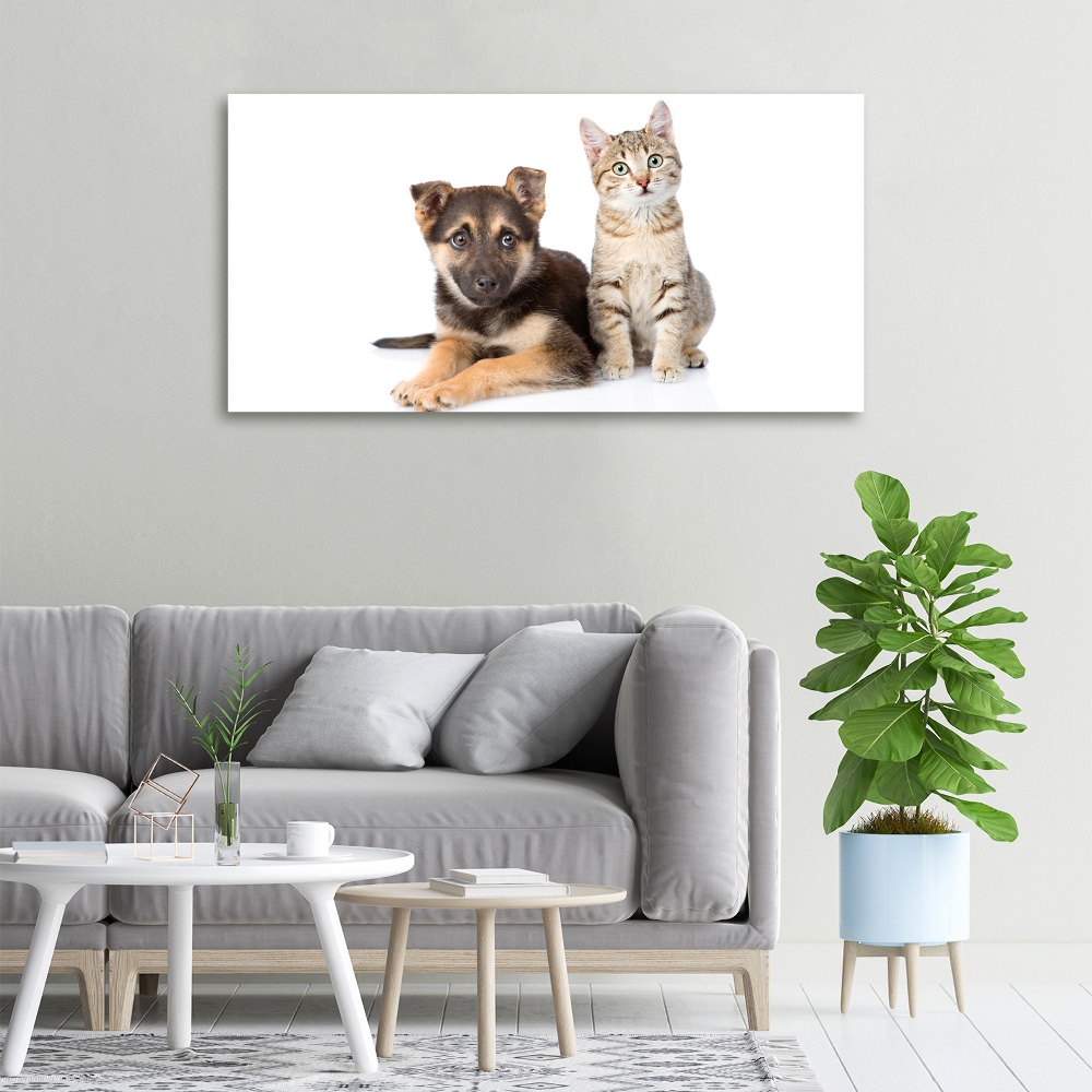 Tableau sur toile Chien et chat