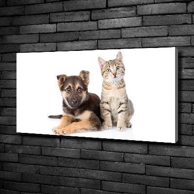 Tableau sur toile Chien et chat