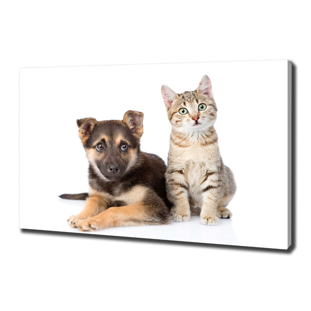 Tableau sur toile Chien et chat