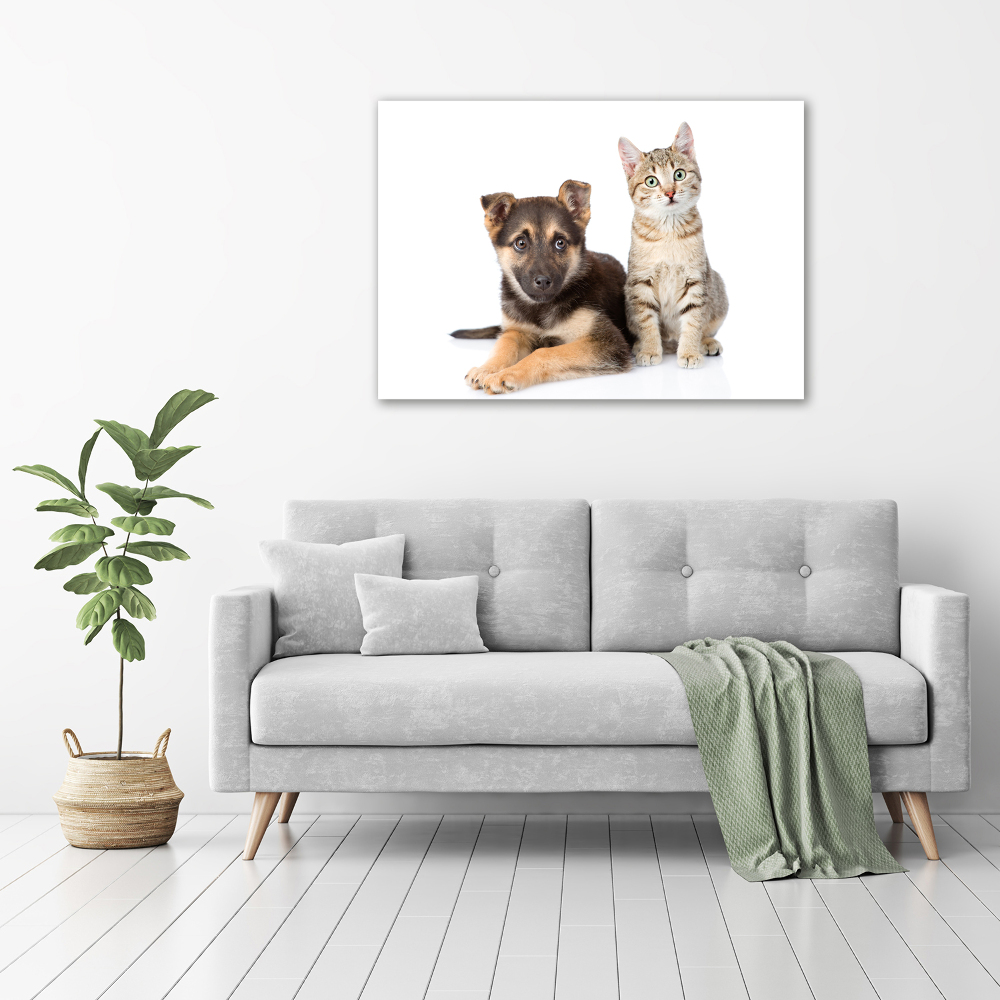 Tableau sur toile Chien et chat