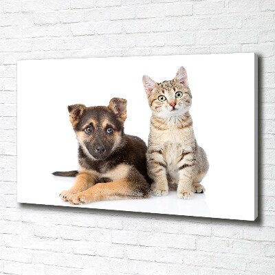 Tableau sur toile Chien et chat