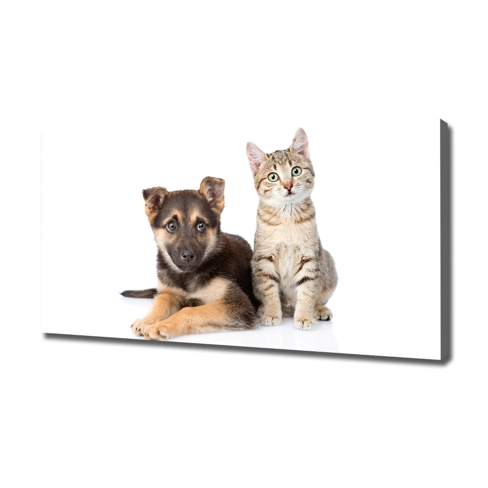 Tableau sur toile Chien et chat