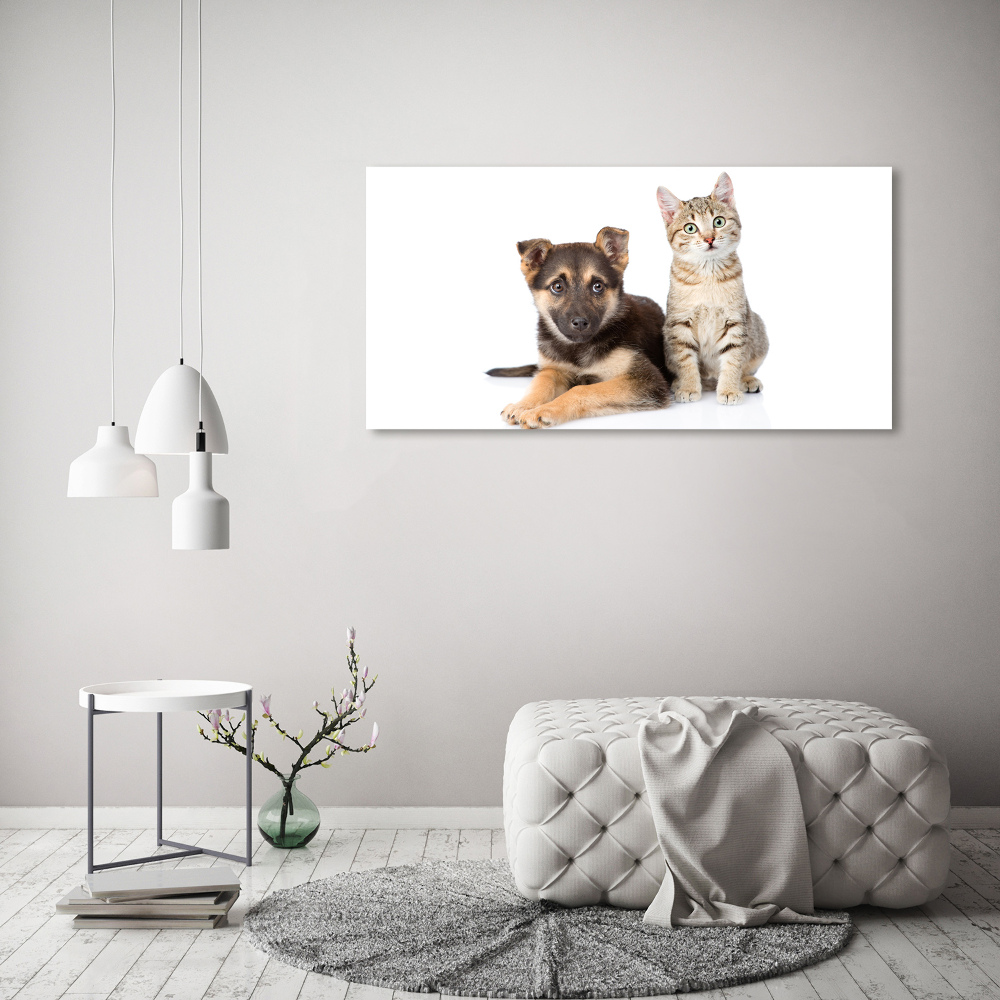 Tableau sur toile Chien et chat