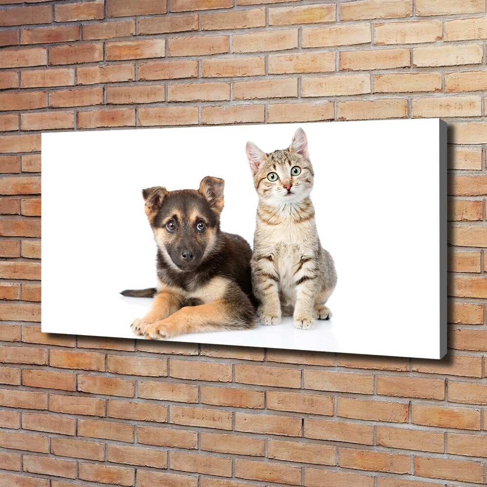 Tableau sur toile Chien et chat