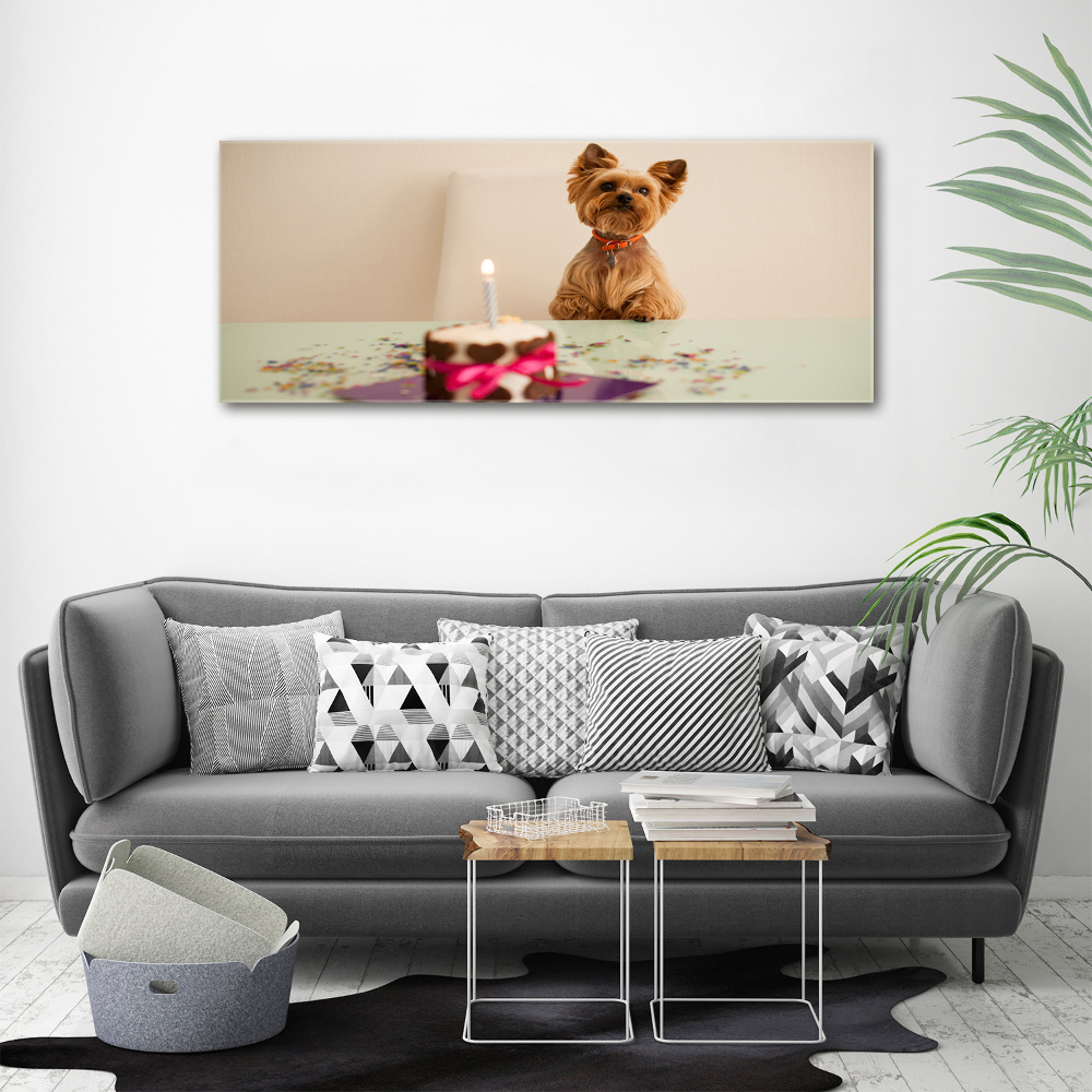 Tableau mural sur toile Chien avec un gâteau