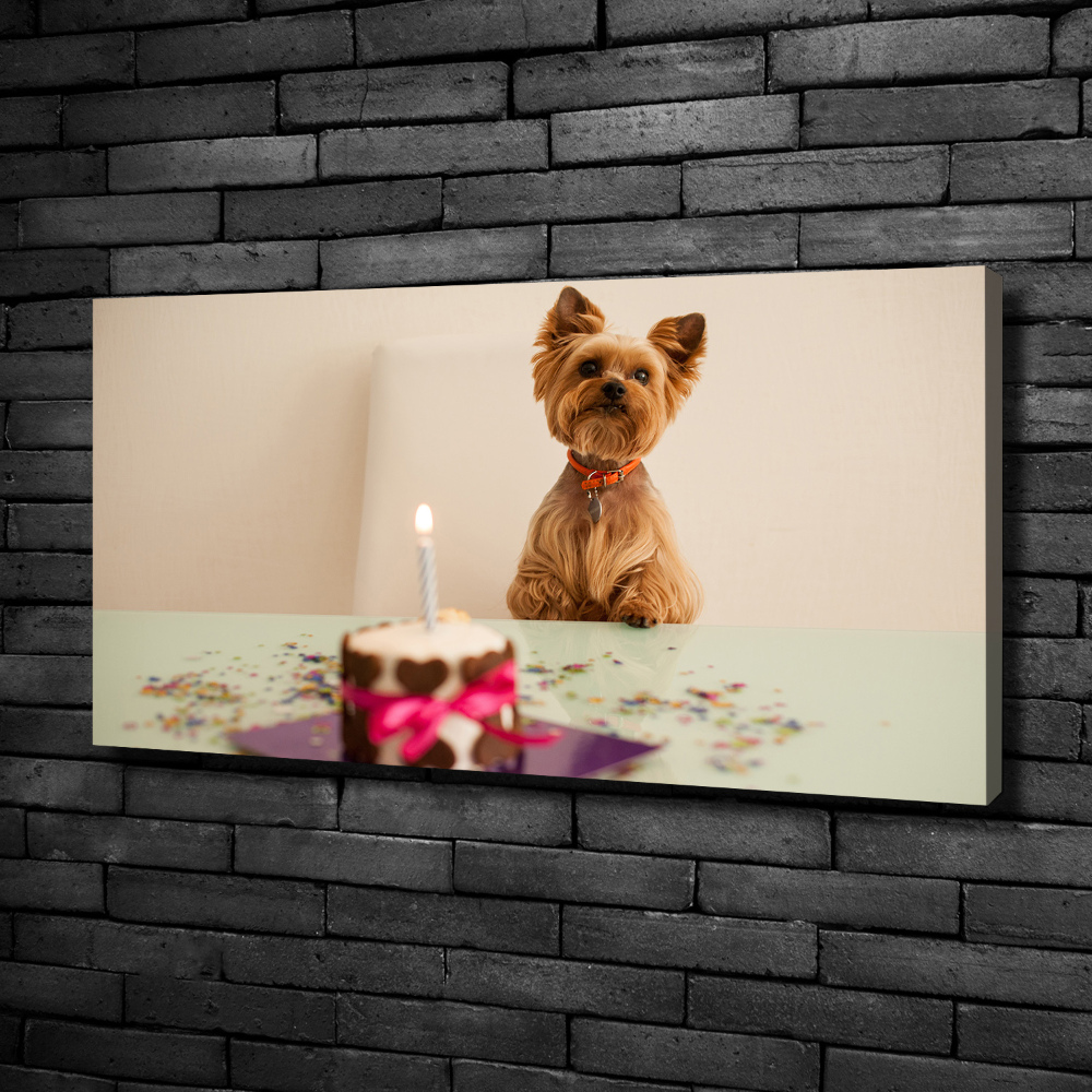 Tableau mural sur toile Chien avec un gâteau