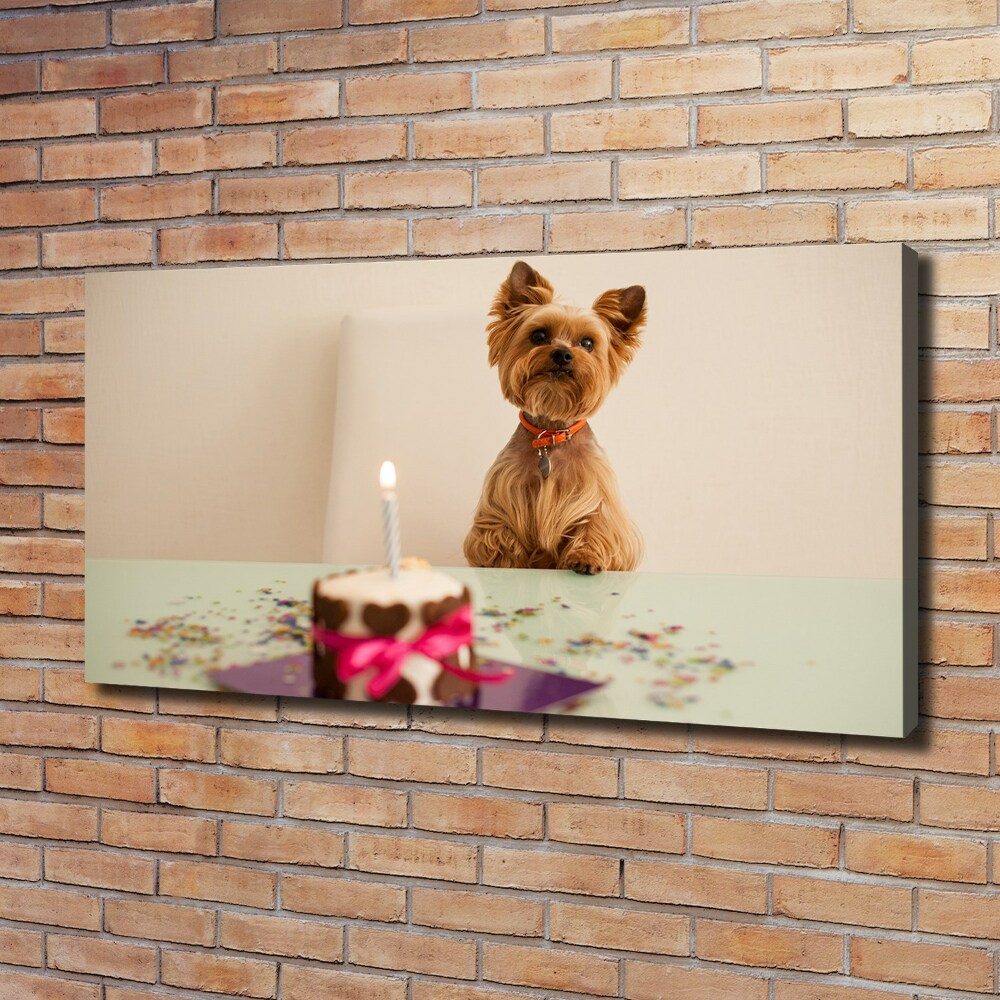 Tableau mural sur toile Chien avec un gâteau