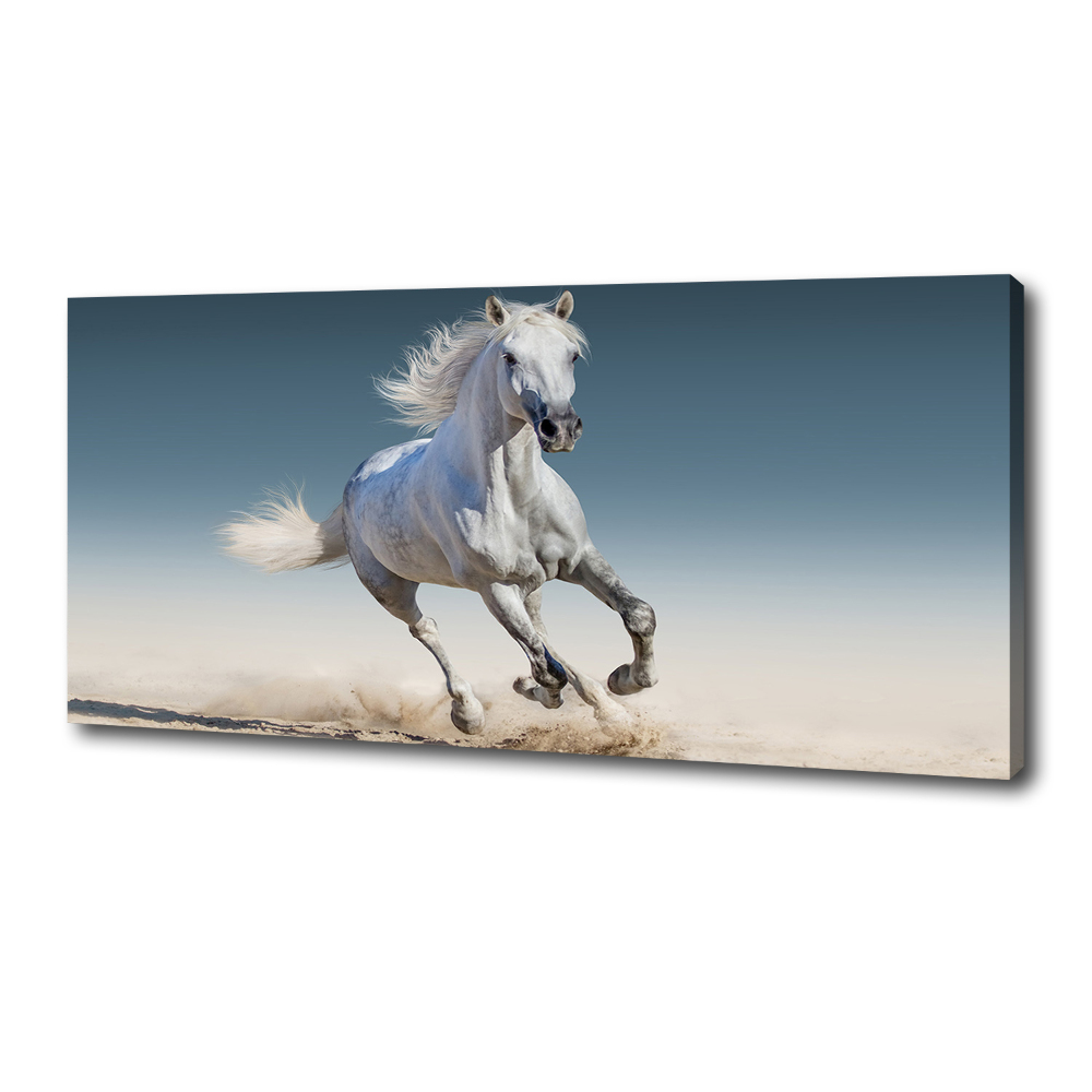 Tableau photo sur toile Cheval blanc au galop