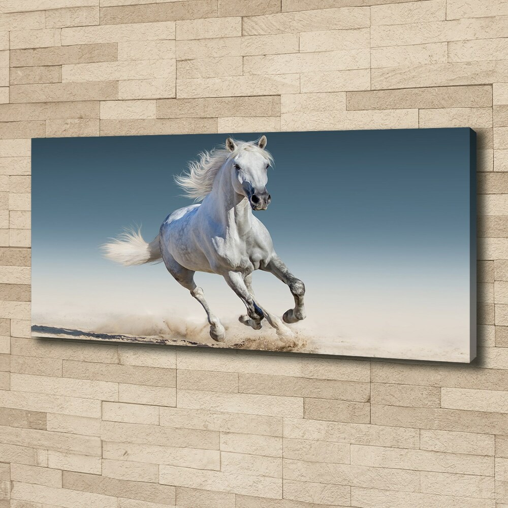 Tableau photo sur toile Cheval blanc au galop