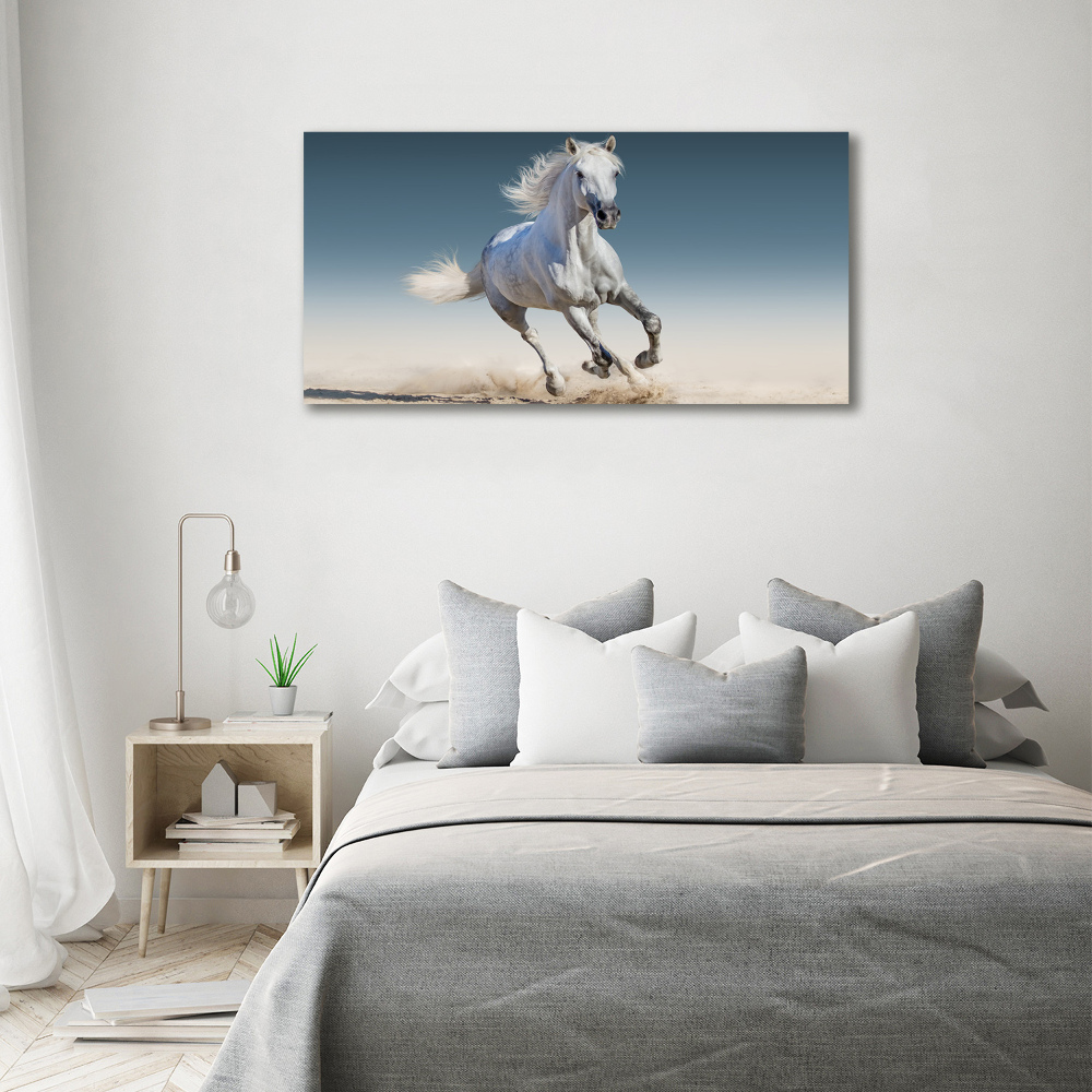 Tableau photo sur toile Cheval blanc au galop