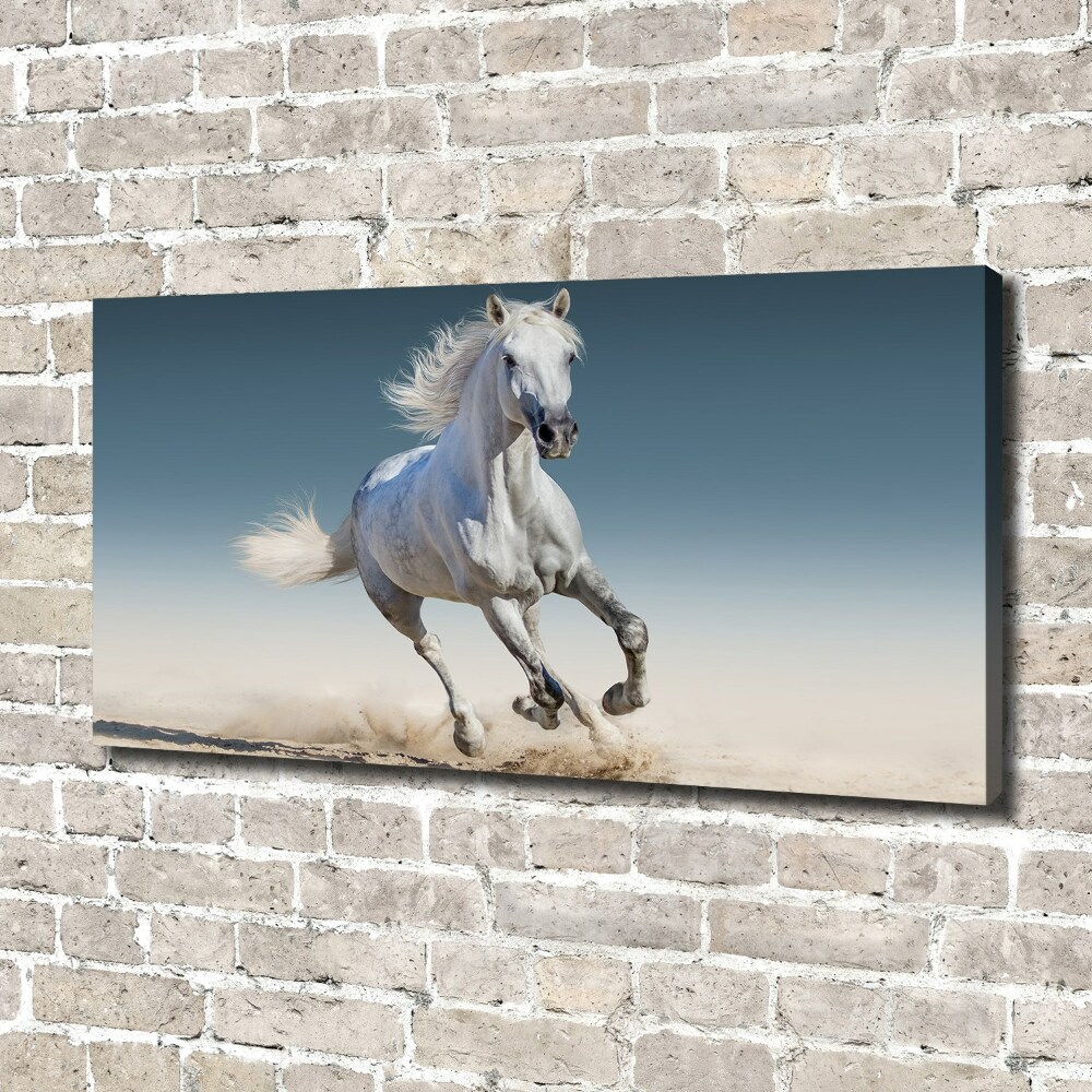 Tableau photo sur toile Cheval blanc au galop