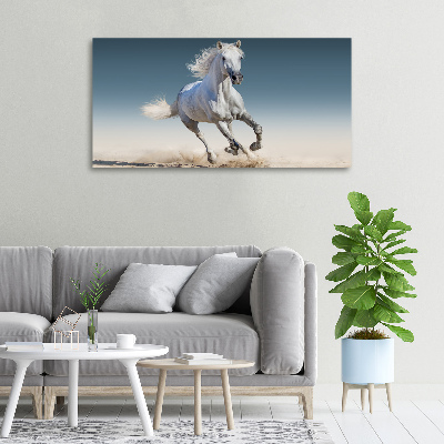 Tableau photo sur toile Cheval blanc au galop