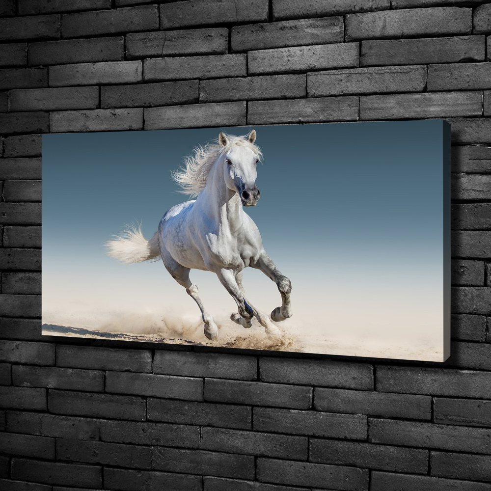 Tableau photo sur toile Cheval blanc au galop