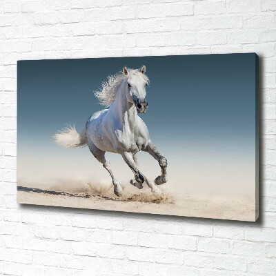 Tableau photo sur toile Cheval blanc au galop