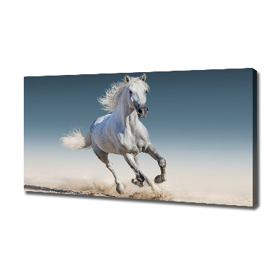 Tableau photo sur toile Cheval blanc au galop