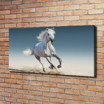 Tableau photo sur toile Cheval blanc au galop