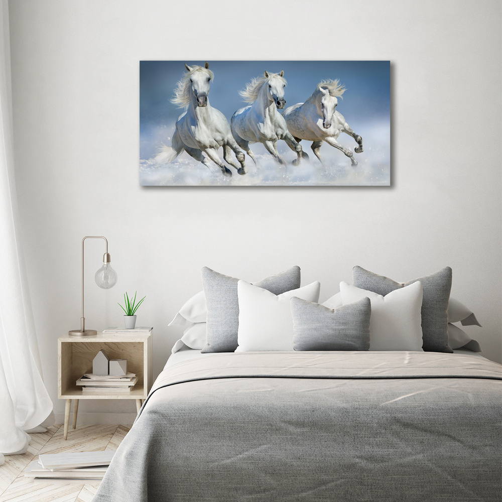 Tableau photo sur toile Chevaux de marche