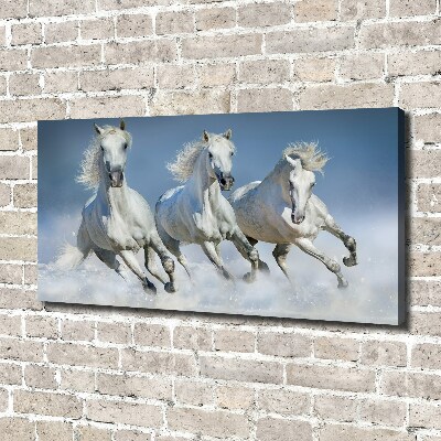 Tableau photo sur toile Chevaux de marche