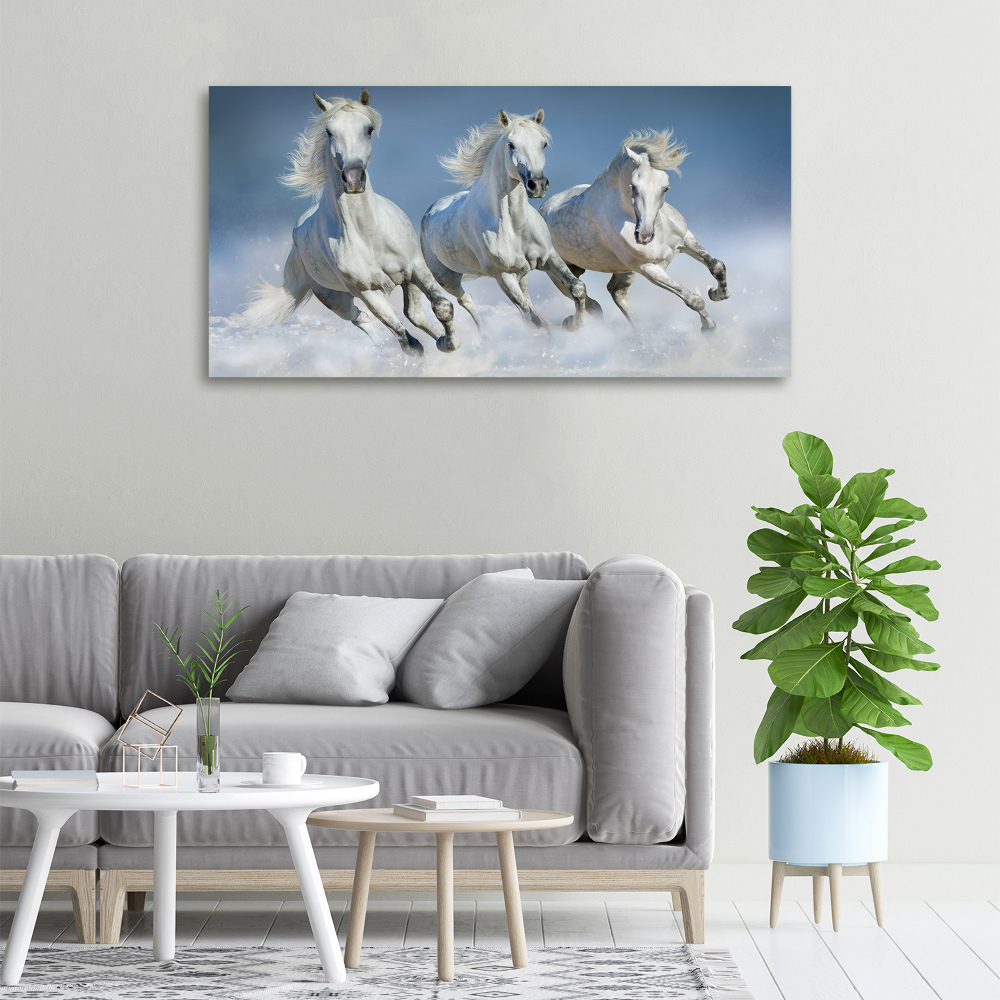 Tableau photo sur toile Chevaux de marche