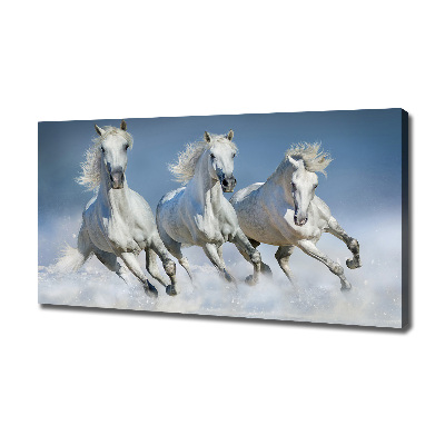 Tableau photo sur toile Chevaux de marche