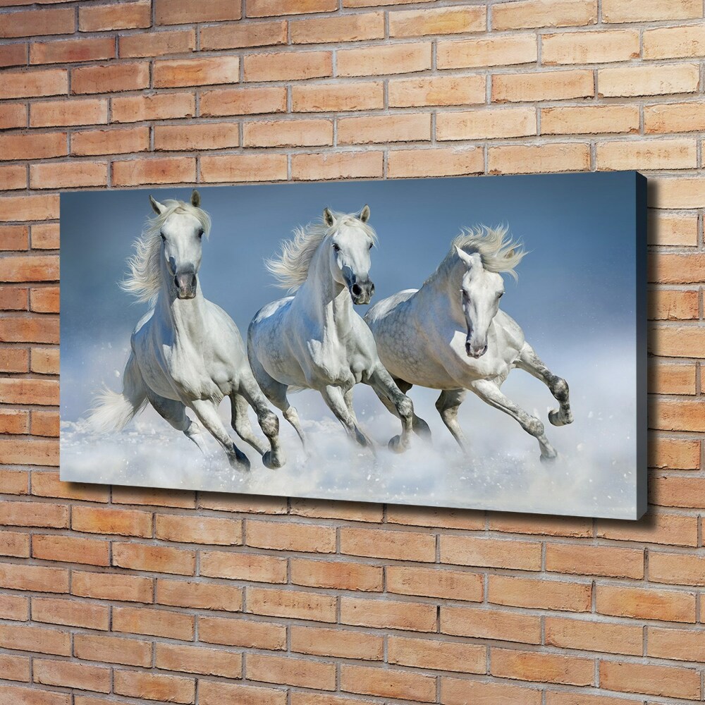 Tableau photo sur toile Chevaux de marche