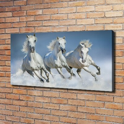 Tableau photo sur toile Chevaux de marche