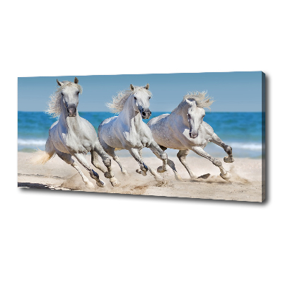 Tableau imprimé sur toile Plage de chevaux blancs