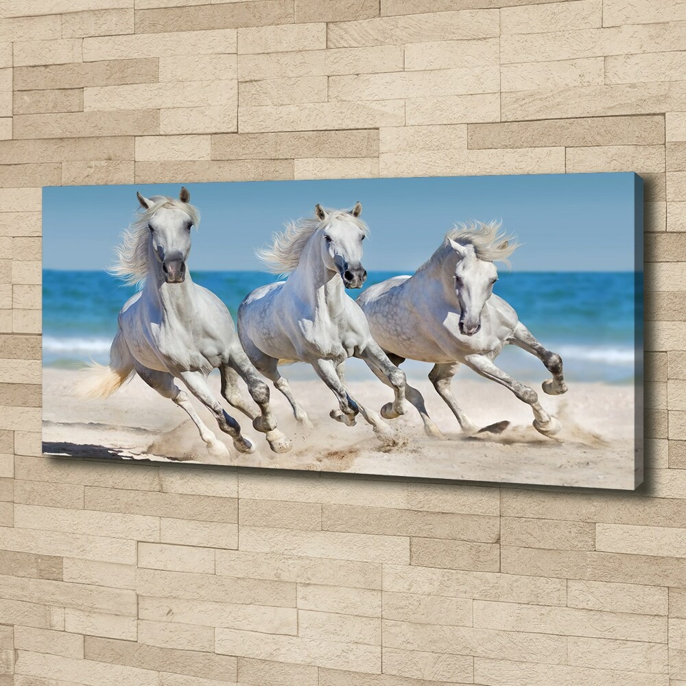 Tableau imprimé sur toile Plage de chevaux blancs