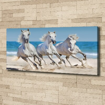 Tableau imprimé sur toile Plage de chevaux blancs