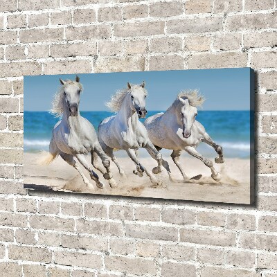 Tableau imprimé sur toile Plage de chevaux blancs