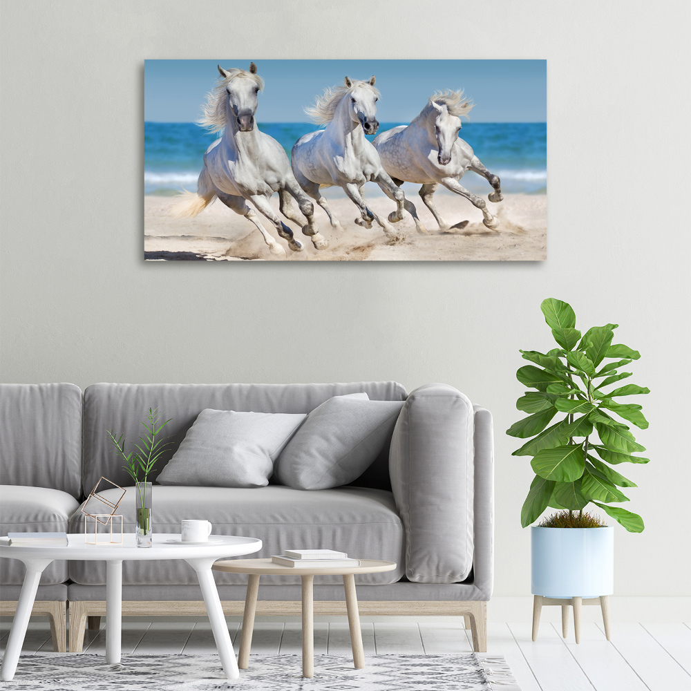 Tableau imprimé sur toile Plage de chevaux blancs